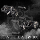 NOVA DAIWA TATULA TW 100 2024 - Rolamentos 7+1BB - Drag 5KG - Recolhimento 8.1:1