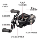NOVA DAIWA TATULA TW 100 2024 - Rolamentos 7+1BB - Drag 5KG - Recolhimento 8.1:1
