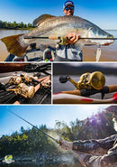 Shimano Calcutta Conquest Md 401 Xglh - Made Japan - Frete Grátis