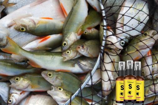 SUPER ATRATIVO DE PESCA IMPORTADO MAX FISH PARA MASSAS E ISCAS - Frete Grátis