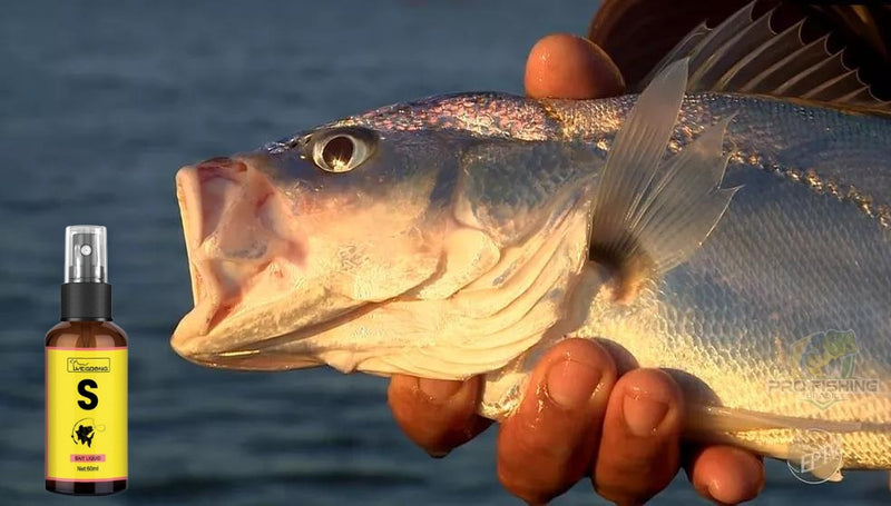 SUPER ATRATIVO DE PESCA IMPORTADO MAX FISH PARA MASSAS E ISCAS - Frete Grátis